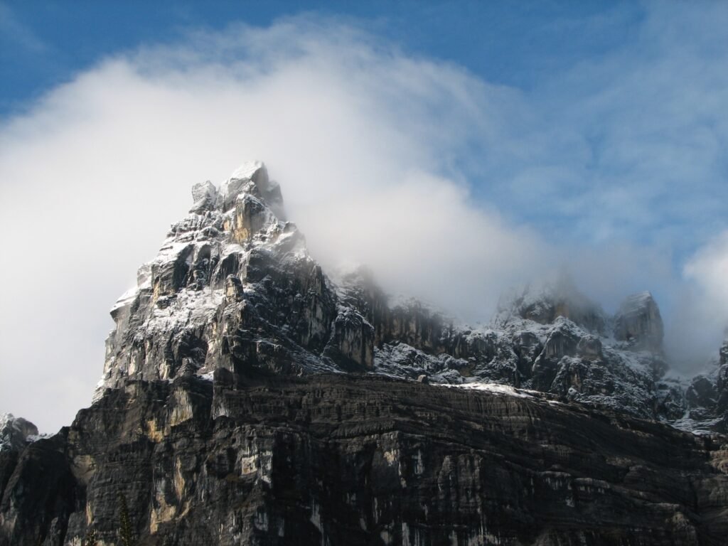ADVENTURES CARSTENSZ
